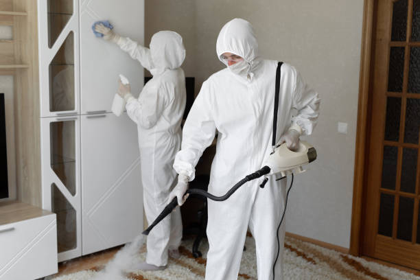 Office Mold Removal Services in Corrigan, TX