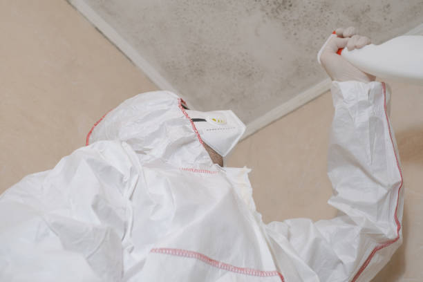 Best Black Mold Removal  in Corrigan, TX