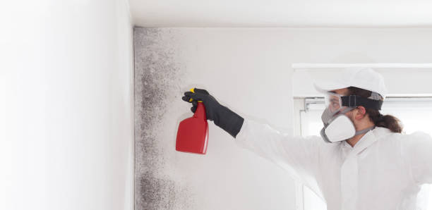 Best Home Mold Removal  in Corrigan, TX
